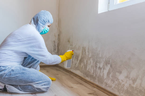 Licensed Mold Inspection service in Lyndhurst, VA - WQB Mold Removal