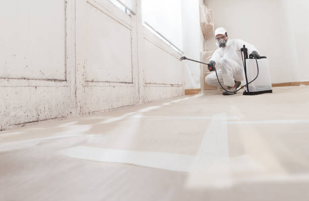 Trusted Mold Inspection service in Lyndhurst, VA - WQB Mold Removal