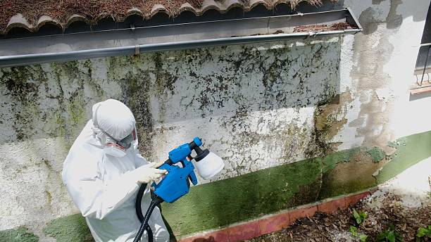 Top rated local Mold Inspection specialists in Lyndhurst, VA